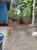 Terreno, 23 hectares - Foto 4