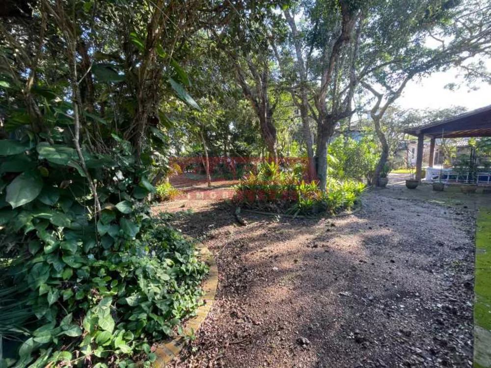 Terreno, 440 m² - Foto 6