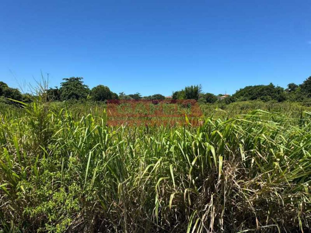 Terreno, 878 m² - Foto 2