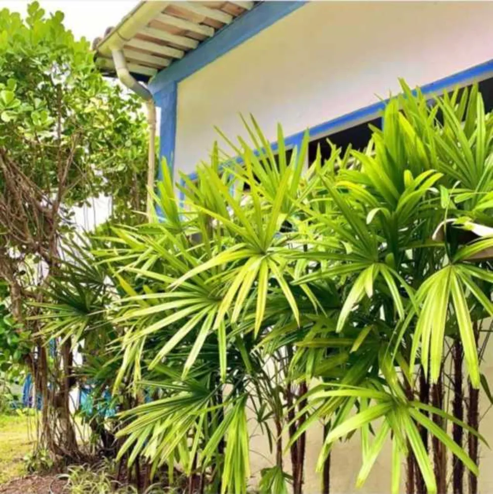 Hotel, 14 quartos, 450 m² - Foto 11