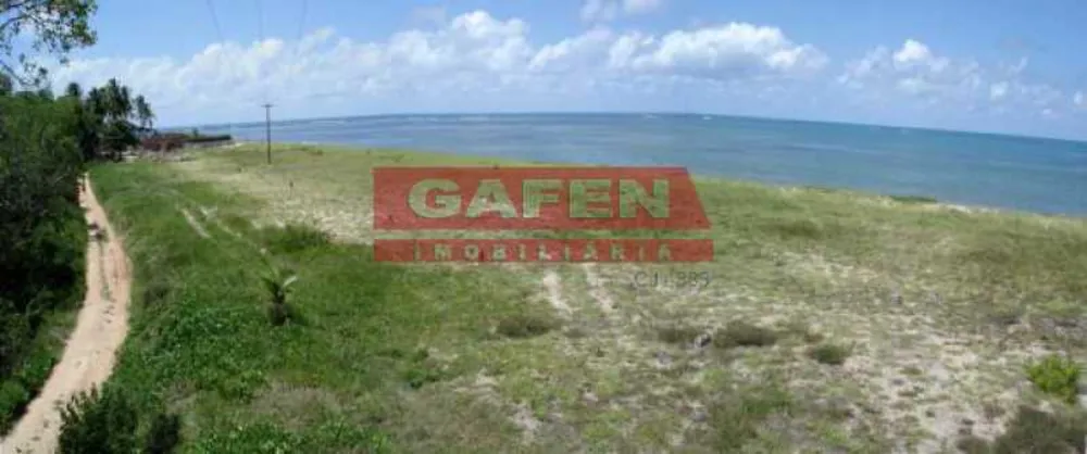 Terreno, 9 hectares - Foto 4