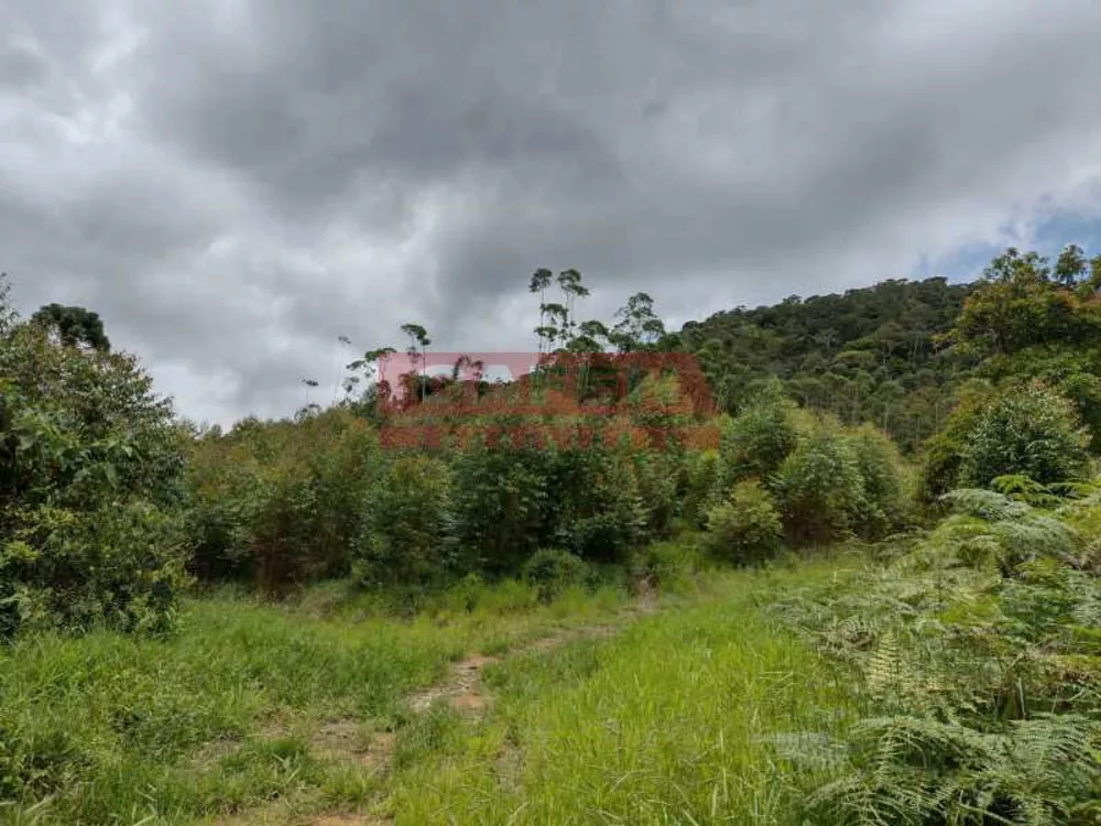 Terreno, 1900 m² - Foto 6