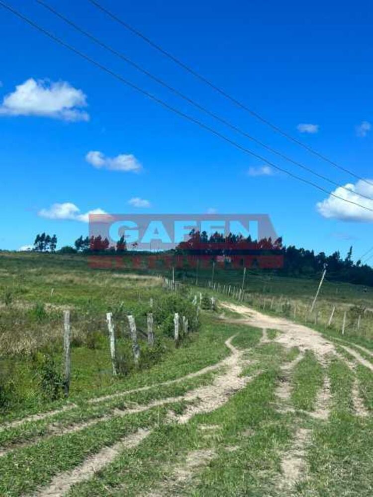 Fazenda, 252 hectares - Foto 21