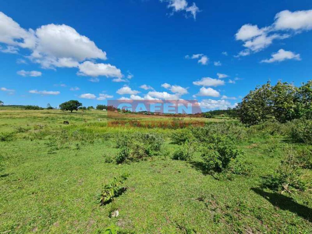 Fazenda, 252 hectares - Foto 13