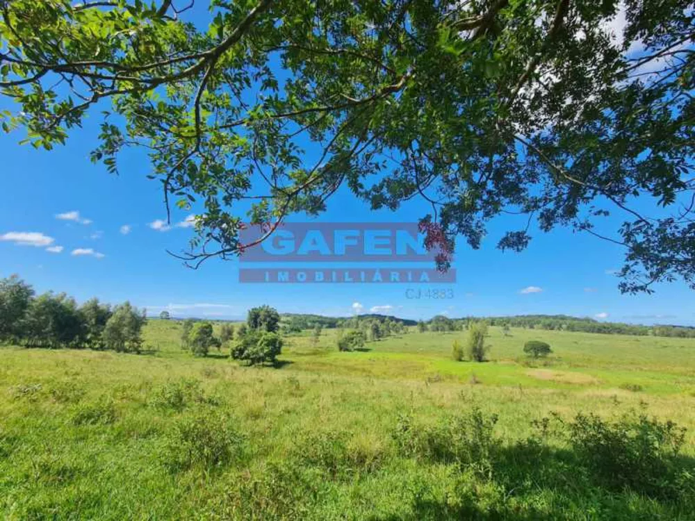 Fazenda, 252 hectares - Foto 20