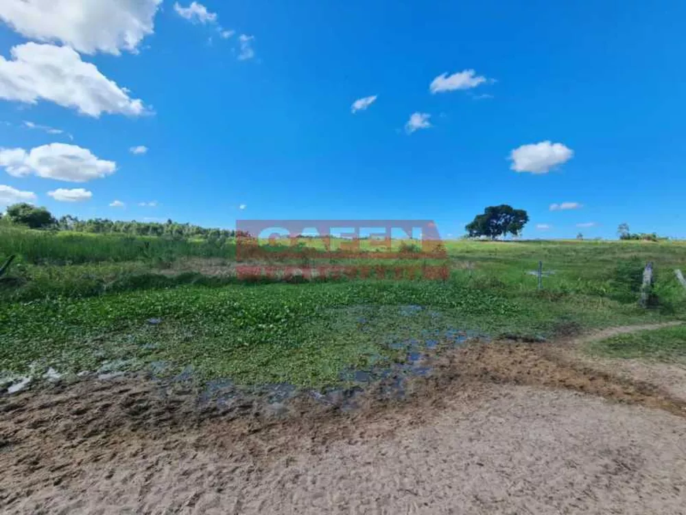 Fazenda, 252 hectares - Foto 16