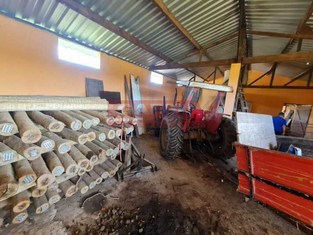 Fazenda, 252 hectares - Foto 4
