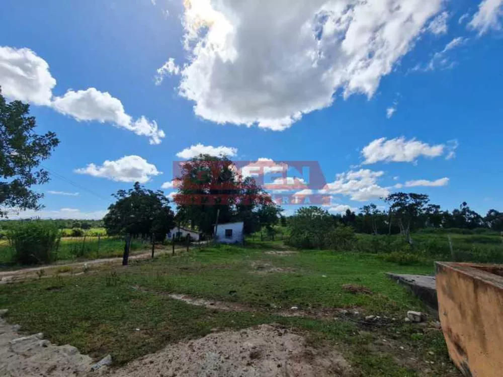 Fazenda, 252 hectares - Foto 14