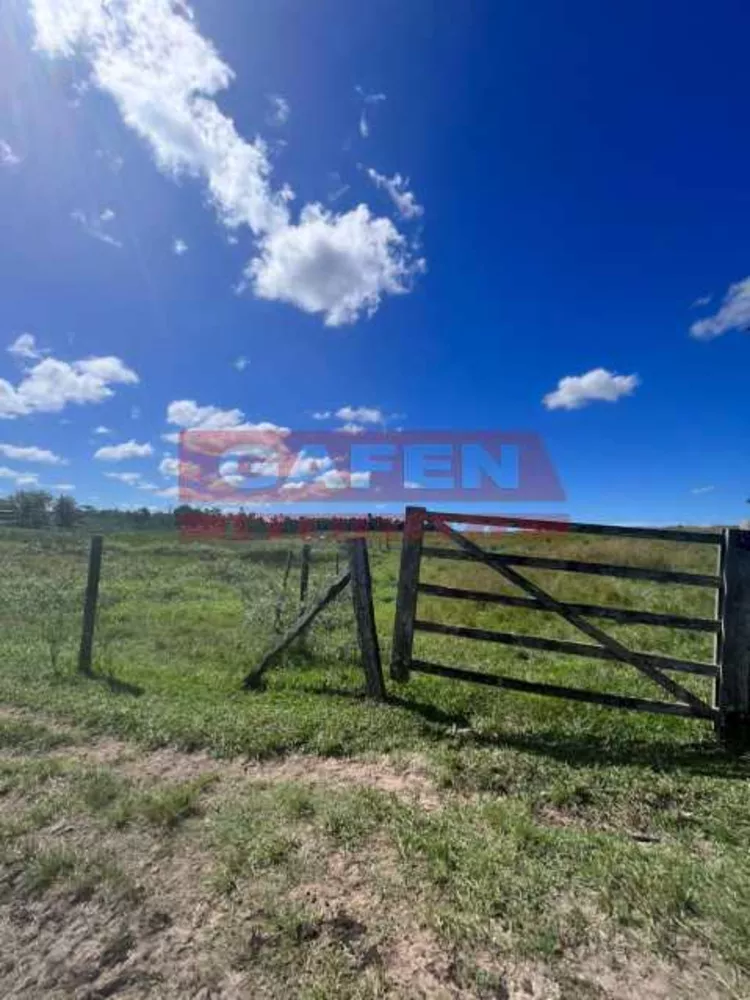 Fazenda, 252 hectares - Foto 19