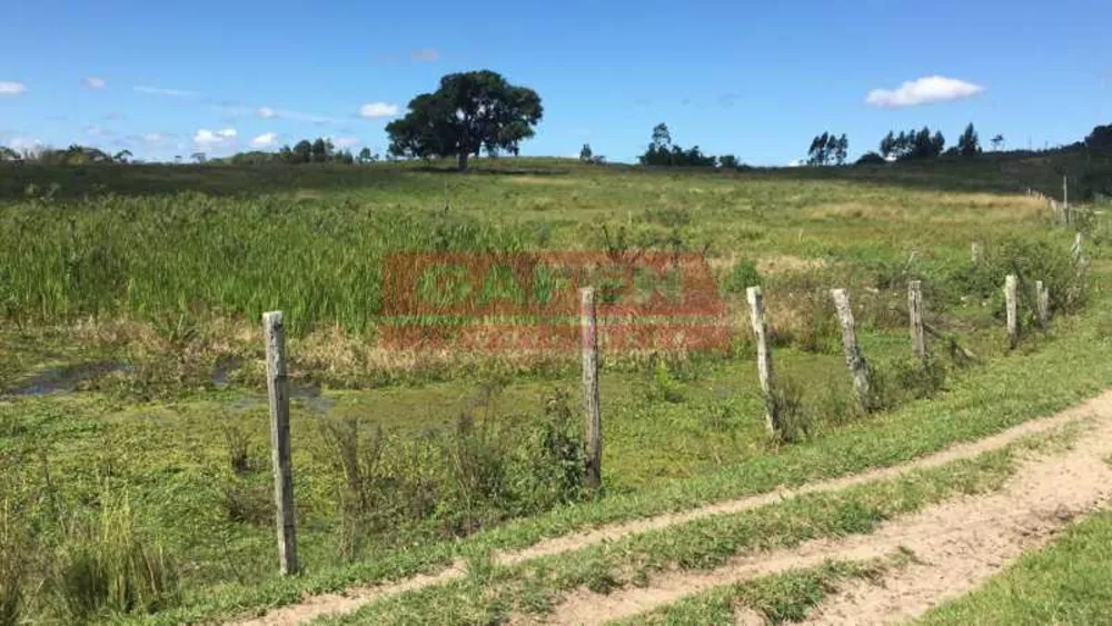 Fazenda, 252 hectares - Foto 26