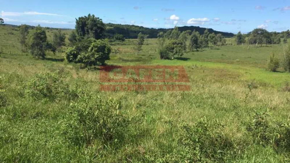 Fazenda, 252 hectares - Foto 29