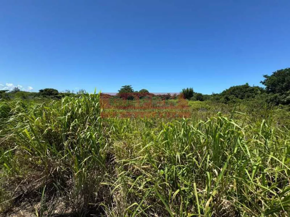 Terreno, 900 m² - Foto 9