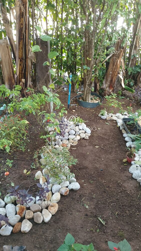 Casa à venda com 3 quartos, 300m² - Foto 20