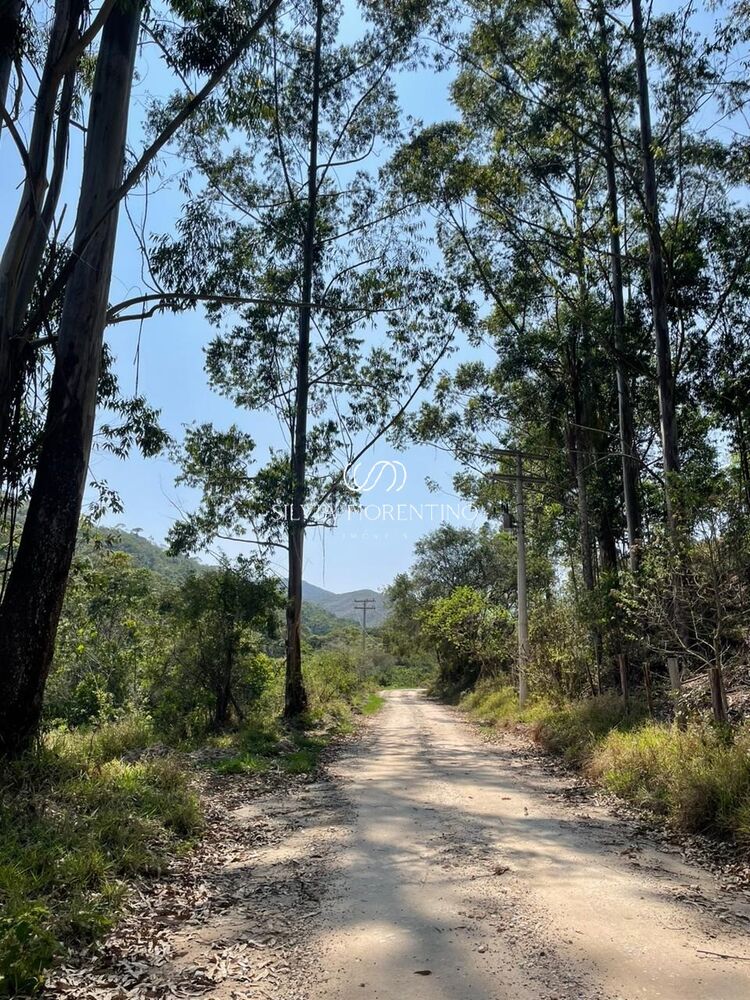 Terreno, 6000 m² - Foto 2