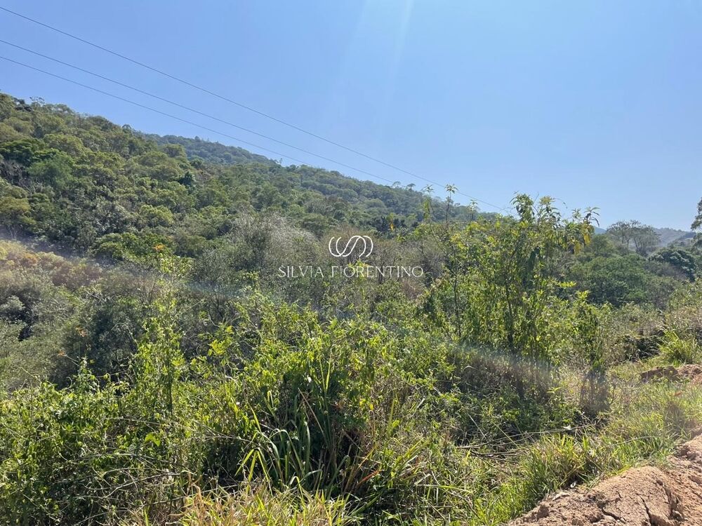 Terreno, 6000 m² - Foto 3