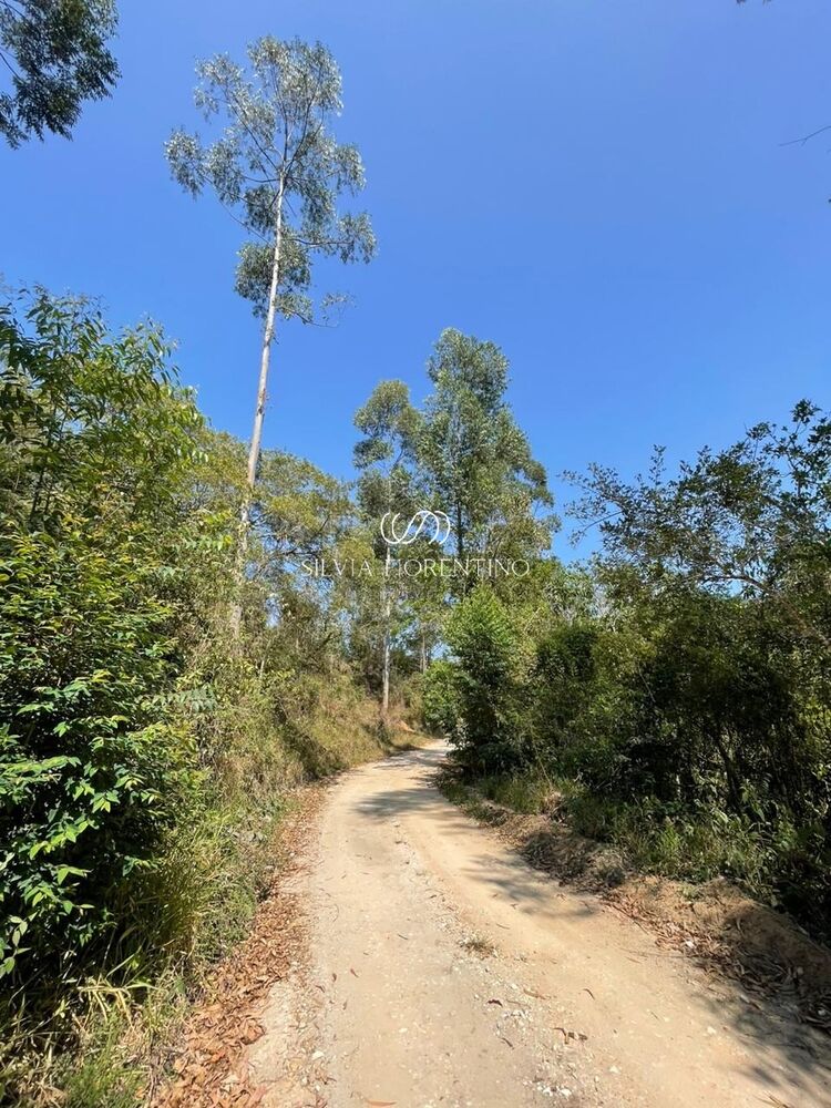 Terreno, 6000 m² - Foto 4