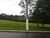 Terreno, 600 m² - Foto 4