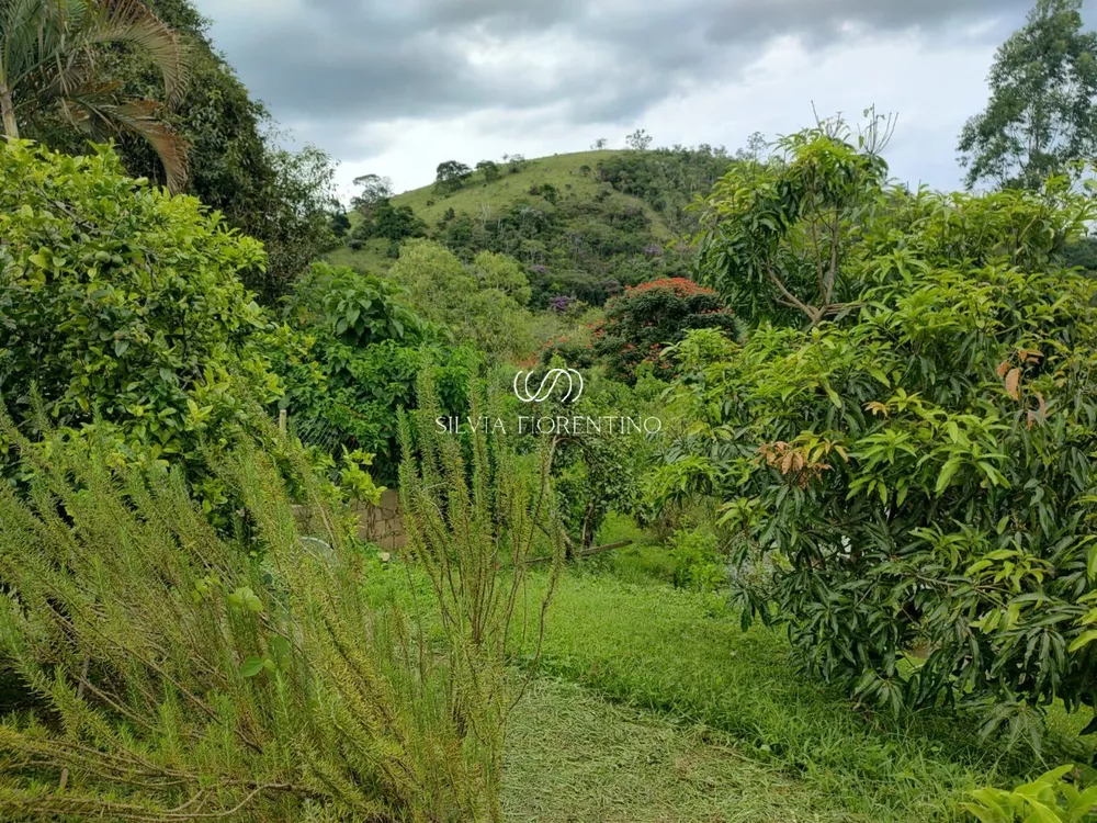 Casa à venda com 4 quartos, 23000m² - Foto 3