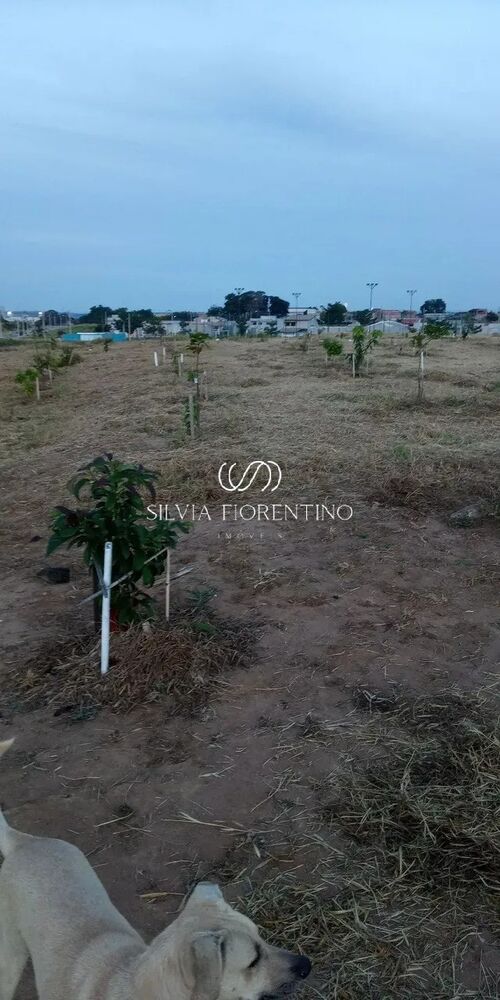 Casa, 3 quartos, 350 m² - Foto 2