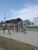 Terreno, 250 m² - Foto 3