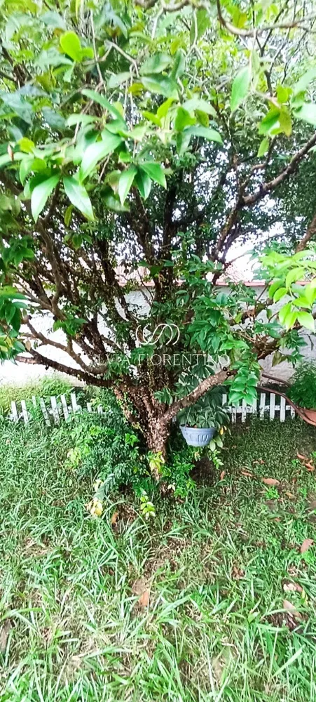 Casa, 3 quartos, 1250 m² - Foto 15