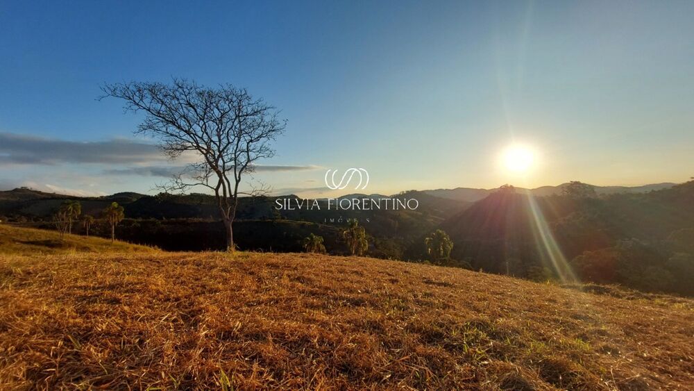 Terreno à venda, 2100m² - Foto 6