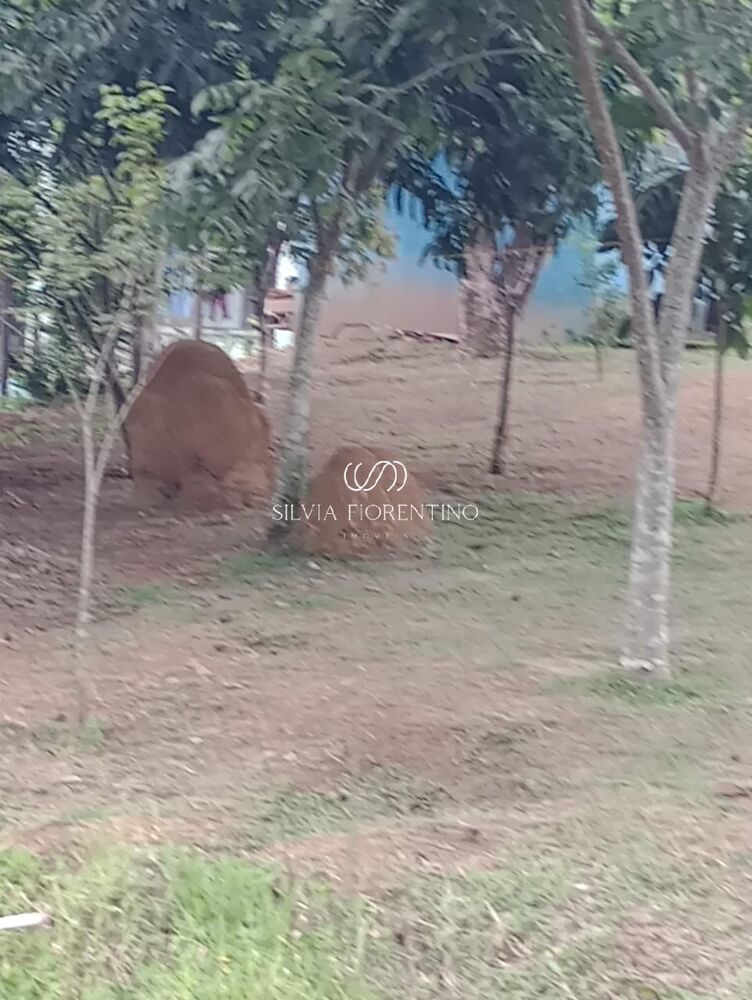 Chácara, 2 quartos, 3000 m² - Foto 3