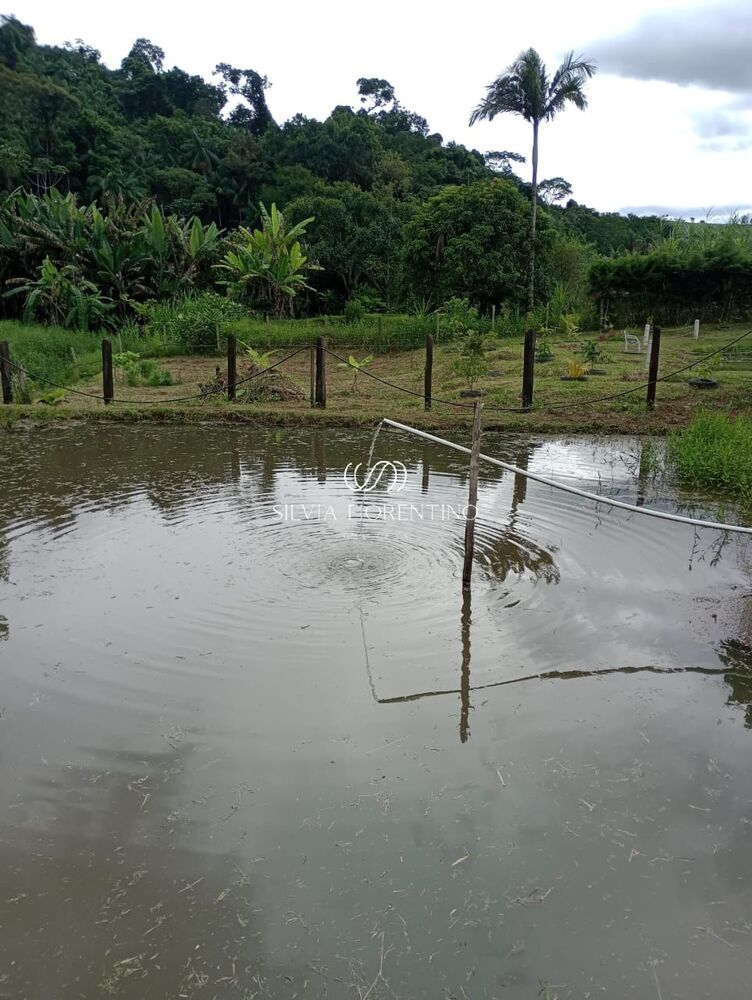 Chácara, 2 quartos, 3000 m² - Foto 4