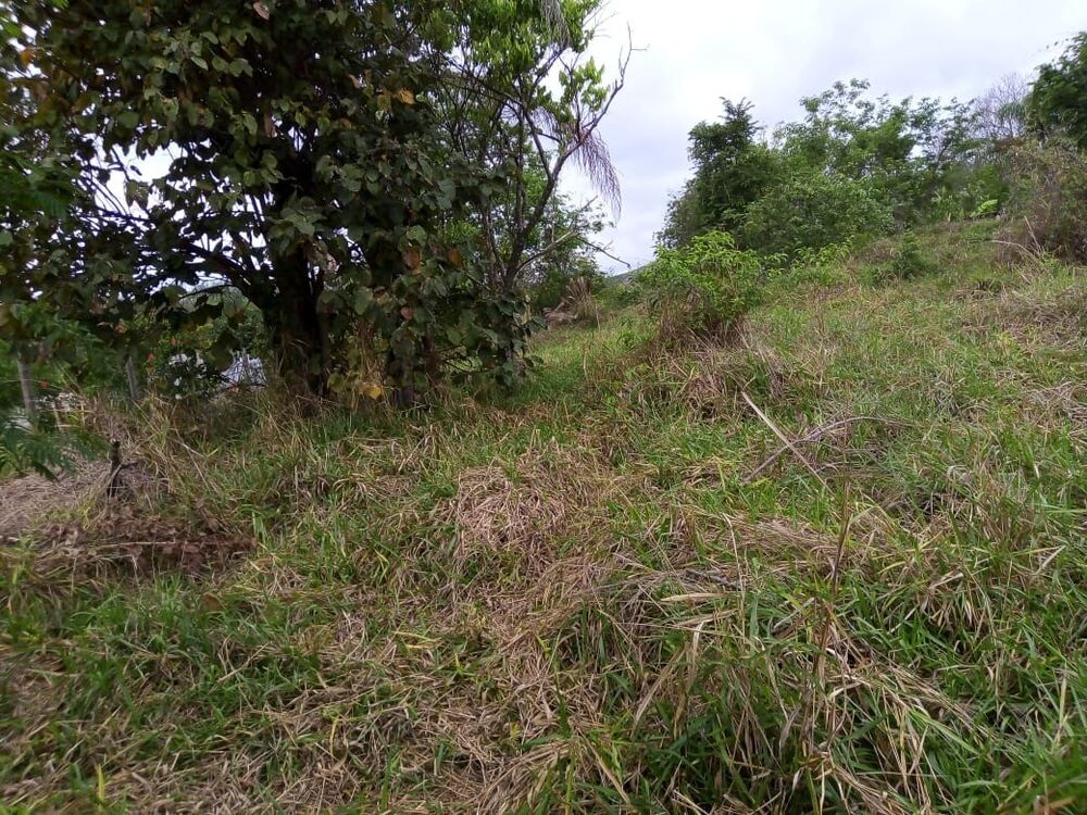 Terreno, 2500 m² - Foto 1