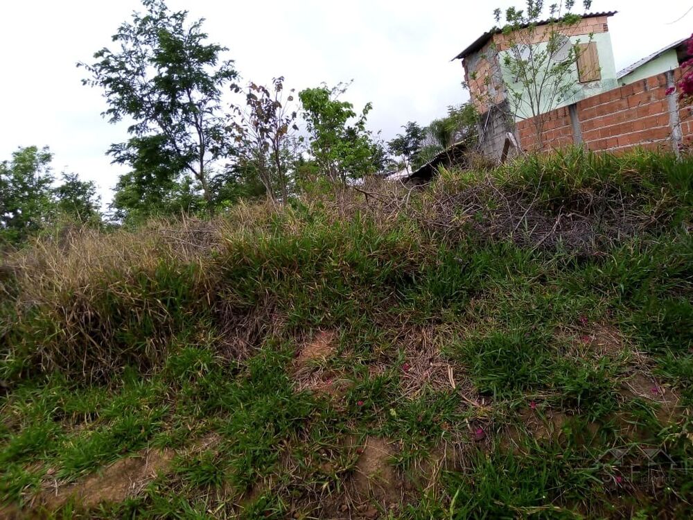 Terreno, 2500 m² - Foto 3