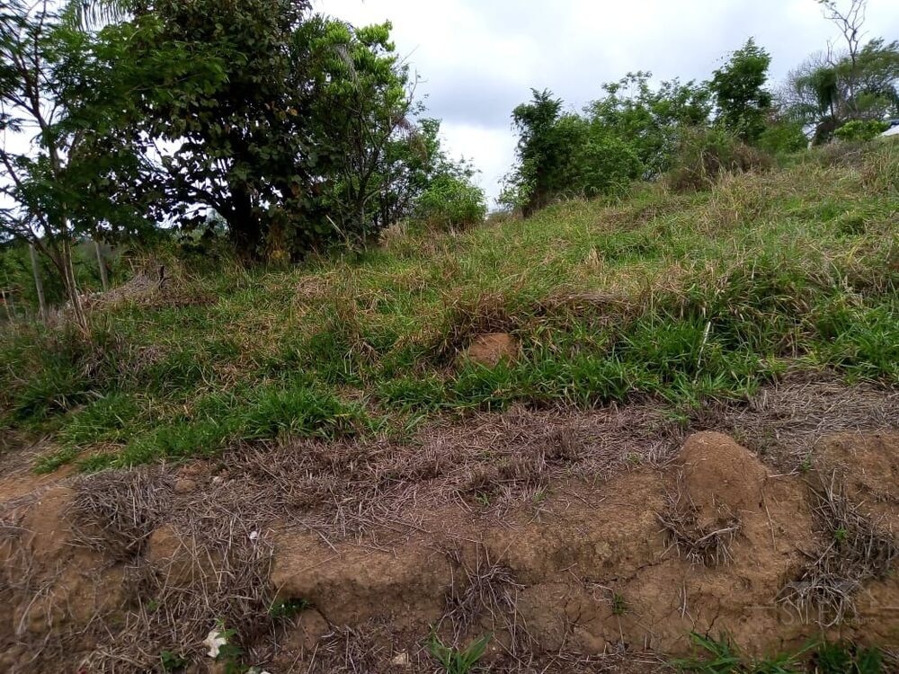 Terreno, 2500 m² - Foto 4