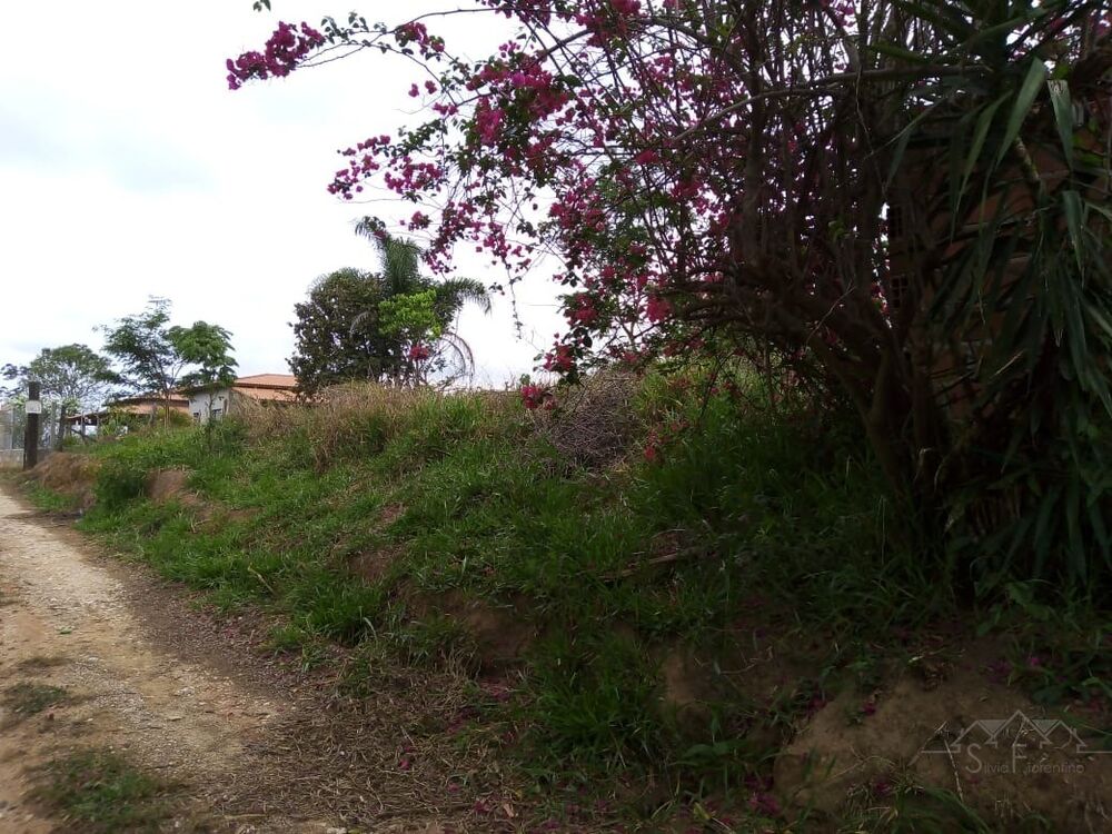 Terreno, 2500 m² - Foto 7