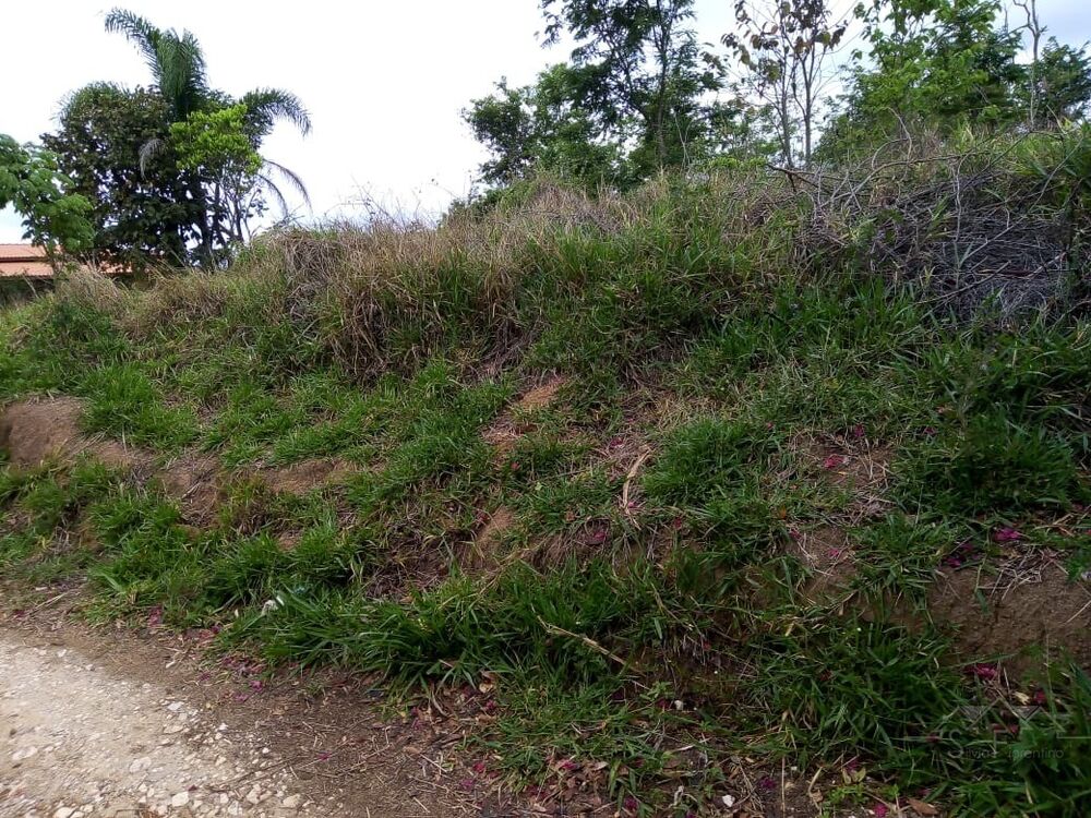 Terreno, 2500 m² - Foto 5