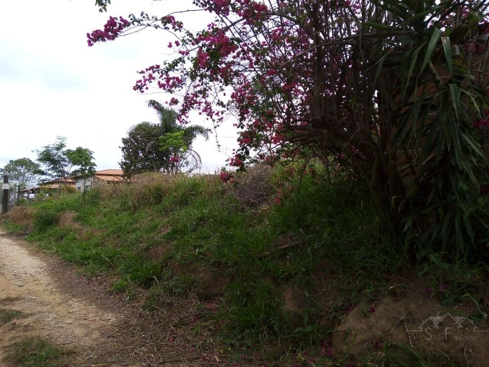 Terreno, 2500 m² - Foto 10