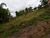 Terreno, 2500 m² - Foto 2