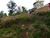Terreno, 2500 m² - Foto 3