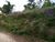 Terreno, 2500 m² - Foto 5