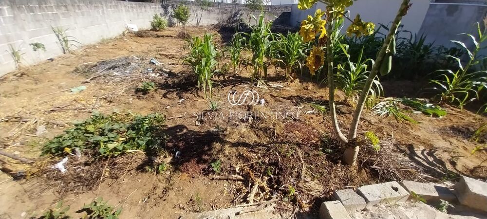 Terreno, 260 m² - Foto 5