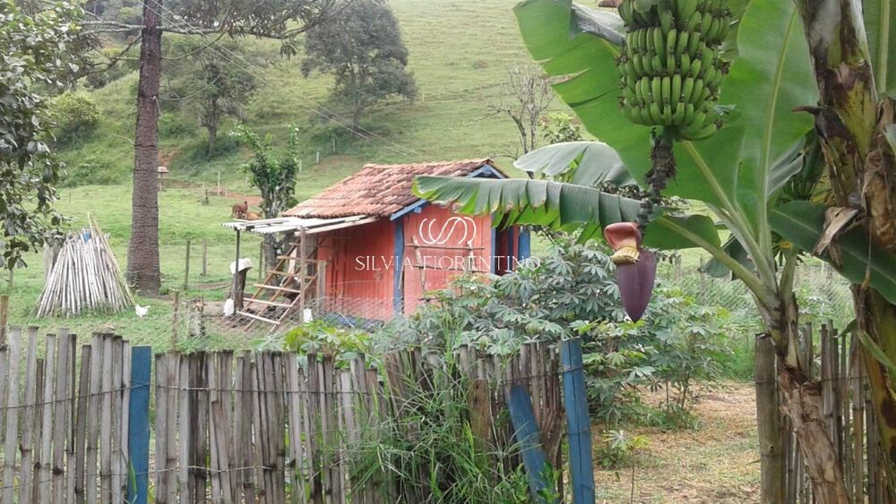 Sítio à venda com 3 quartos, 72000m² - Foto 4