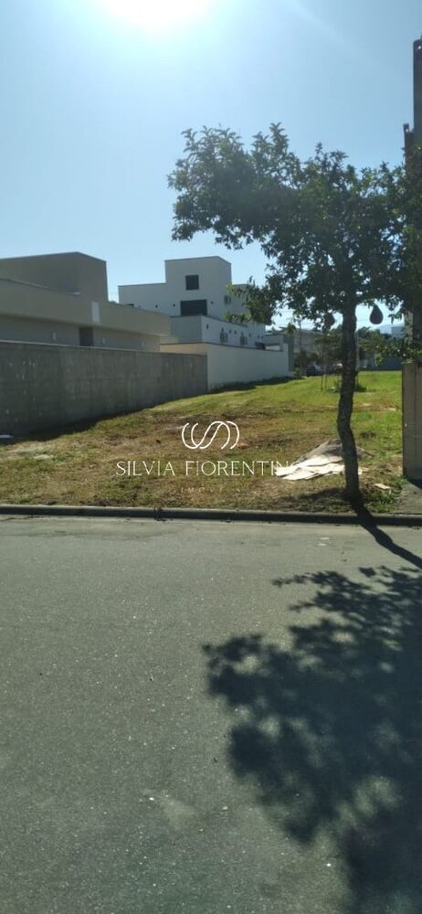Terreno à venda, 250m² - Foto 3