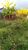 Terreno, 500 m² - Foto 1