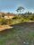 Terreno, 250 m² - Foto 1