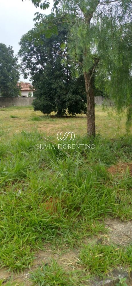 Terreno, 125 m² - Foto 3