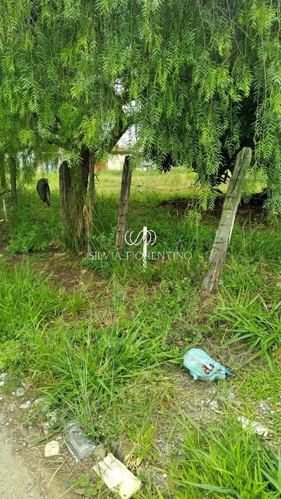 Terreno, 125 m² - Foto 2