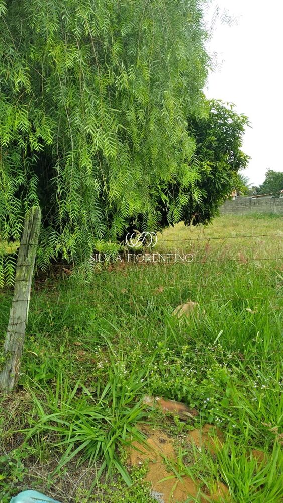 Terreno, 125 m² - Foto 1
