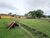 Chácara, 6 quartos, 2 hectares - Foto 37