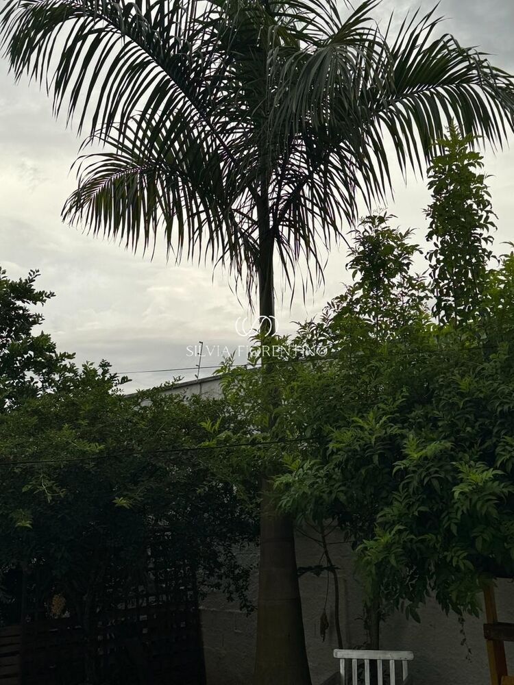 Casa, 4 quartos, 880 m² - Foto 3