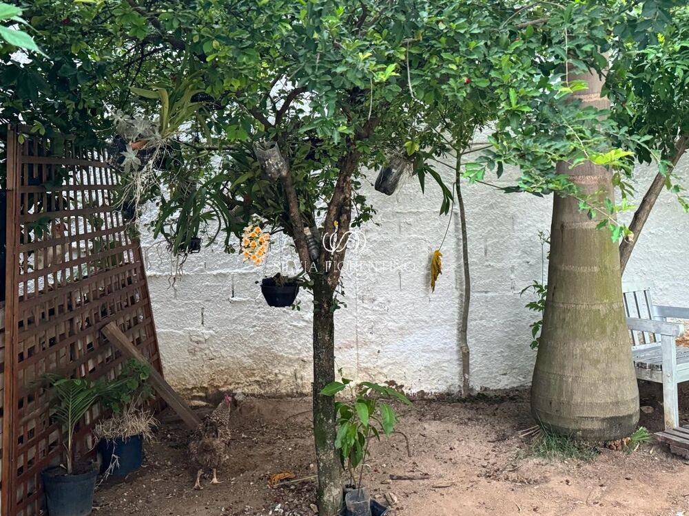 Casa, 4 quartos, 880 m² - Foto 9