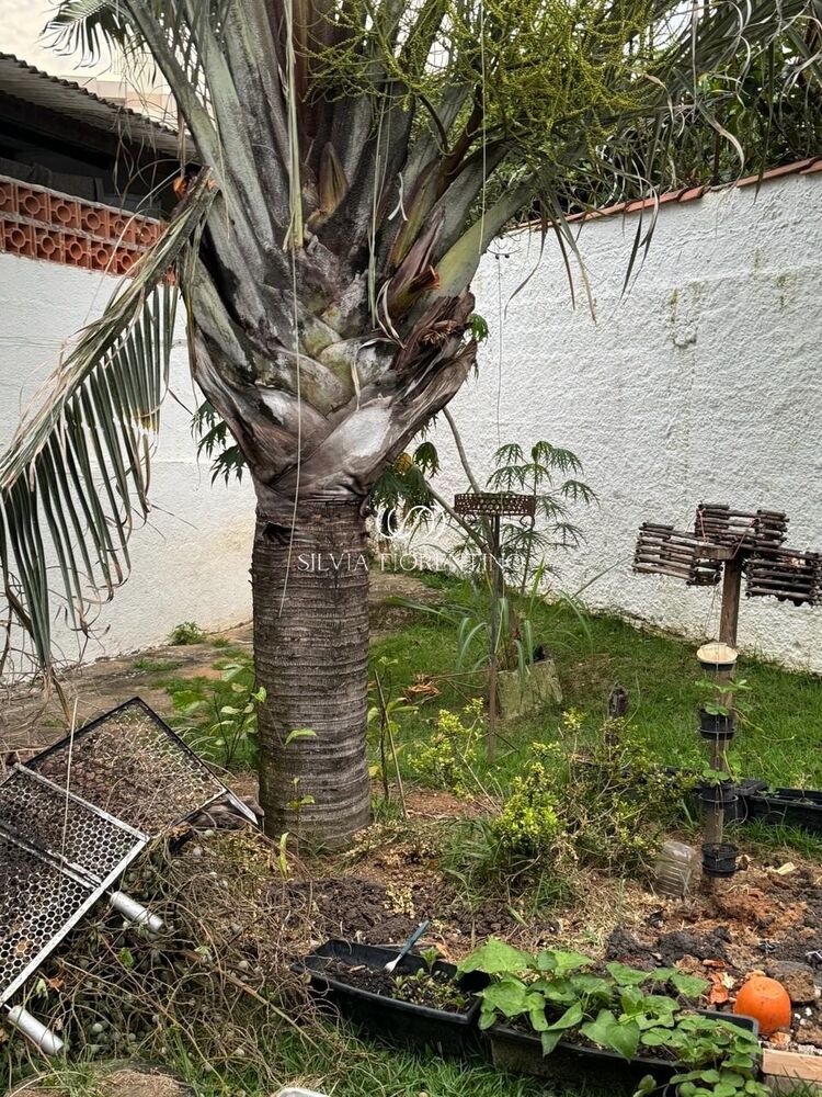 Casa, 4 quartos, 880 m² - Foto 2