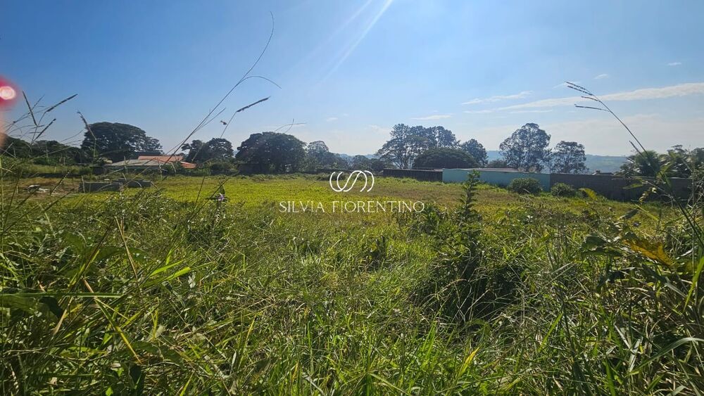 Terreno, 1078 m² - Foto 4